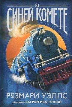 Розмари Уэллс - На синей комете - Читать 📖 Читать онлайн 👀 Читаемые книги читать онлайн бесплатно 🔥 booksread-online.com