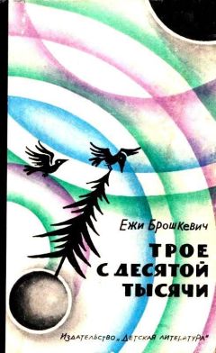 Ежи Брошкевич - Трое с десятой тысячи - Читать 📖 Читать онлайн 👀 Читаемые книги читать онлайн бесплатно 🔥 booksread-online.com