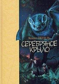 Кеннет Оппель - Серебряное крыло - Читать | Читать онлайн | Читаемые книги читать онлайн бесплатно | booksread-online.com