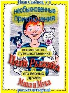 Иван Семенов - Необыкновенные приключения Пети Рыжика и его верных друзей Мика и Мука (рассказ 4) - Читать 📖 Читать онлайн 👀 Читаемые книги читать онлайн бесплатно 🔥 booksread-online.com