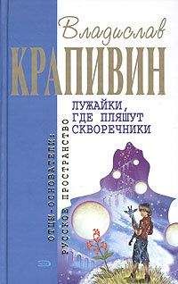 Владислав Крапивин - Лужайки, где пляшут скворечники - Читать | Читать онлайн | Читаемые книги читать онлайн бесплатно | booksread-online.com