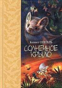 Кеннет Оппель - Солнечное крыло - Читать 📖 Читать онлайн 👀 Читаемые книги читать онлайн бесплатно 🔥 booksread-online.com