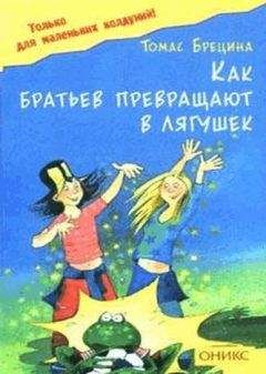 Томас Брецина - Как братьев превращают в лягушек - Читать 📖 Читать онлайн 👀 Читаемые книги читать онлайн бесплатно 🔥 booksread-online.com
