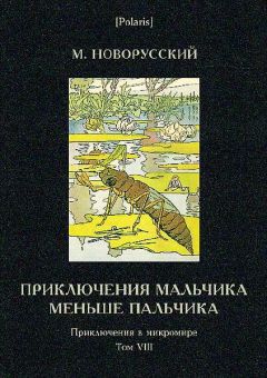 Михаил Новорусский - Приключения мальчика меньше пальчика - Читать 📖 Читать онлайн 👀 Читаемые книги читать онлайн бесплатно 🔥 booksread-online.com