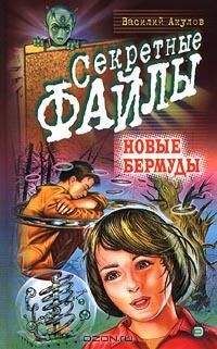 Василий Акулов - Новые Бермуды - Читать 📖 Читать онлайн 👀 Читаемые книги читать онлайн бесплатно 🔥 booksread-online.com