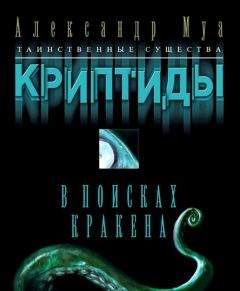 Александр Муа - В поисках кракена - Читать | Читать онлайн | Читаемые книги читать онлайн бесплатно | booksread-online.com