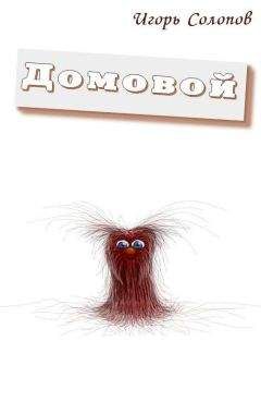 Игорь Солопов - Домовой - Читать 📖 Читать онлайн 👀 Читаемые книги читать онлайн бесплатно 🔥 booksread-online.com