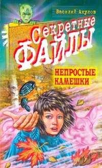 Василий Акулов - Непростые камешки - Читать 📖 Читать онлайн 👀 Читаемые книги читать онлайн бесплатно 🔥 booksread-online.com