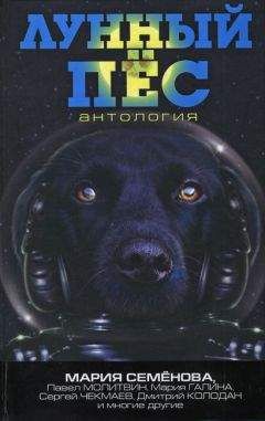 Нина Чешко - Удивительно и странно - Читать 📖 Читать онлайн 👀 Читаемые книги читать онлайн бесплатно 🔥 booksread-online.com