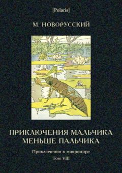 Михаил Новорусский - Приключения мальчика меньше пальчика - Читать | Читать онлайн | Читаемые книги читать онлайн бесплатно | booksread-online.com