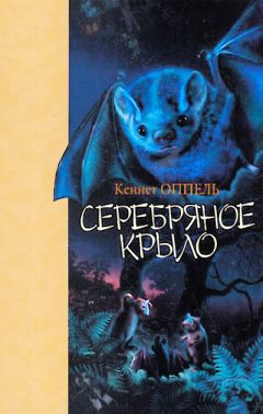 Кеннет Оппель - Серебряное крыло - Читать 📖 Читать онлайн 👀 Читаемые книги читать онлайн бесплатно 🔥 booksread-online.com