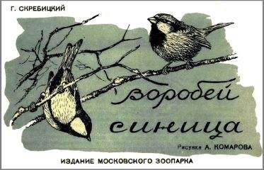 Георгий Скребицкий - Воробей. Синица - Читать 📖 Читать онлайн 👀 Читаемые книги читать онлайн бесплатно 🔥 booksread-online.com