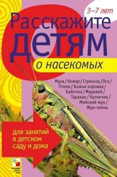 Э. Емельянова - Расскажите детям о насекомых - Читать 📖 Читать онлайн 👀 Читаемые книги читать онлайн бесплатно 🔥 booksread-online.com