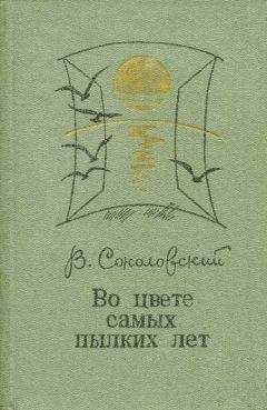 Владимир Соколовский - Во цвете самых пылких лет - Читать 📖 Читать онлайн 👀 Читаемые книги читать онлайн бесплатно 🔥 booksread-online.com