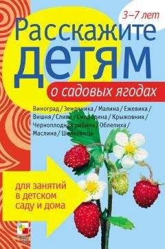 Э. Емельянова - Расскажите детям о садовых ягодах - Читать 📖 Читать онлайн 👀 Читаемые книги читать онлайн бесплатно 🔥 booksread-online.com