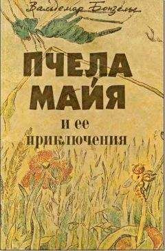 Вальдемар Бонзельс - Пчела Майя и ее приключения - Читать | Читать онлайн | Читаемые книги читать онлайн бесплатно | booksread-online.com