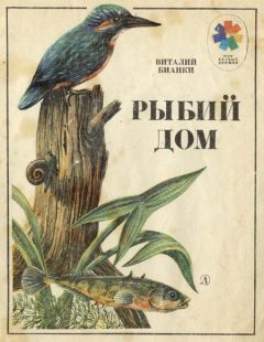 Виталий Бианки - Рыбий дом - Читать | Читать онлайн | Читаемые книги читать онлайн бесплатно | booksread-online.com