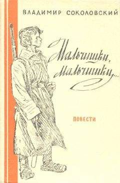 Владимир Соколовский - Мальчишки, мальчишки... - Читать 📖 Читать онлайн 👀 Читаемые книги читать онлайн бесплатно 🔥 booksread-online.com