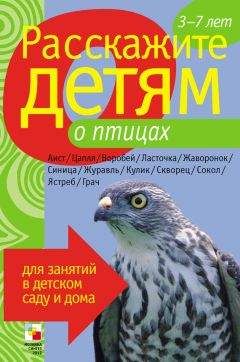 Лариса Бурмистрова - Расскажите детям о птицах - Читать | Читать онлайн | Читаемые книги читать онлайн бесплатно | booksread-online.com