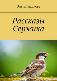Ольга Гладкова - Рассказы Сержика - Читать 📖 Читать онлайн 👀 Читаемые книги читать онлайн бесплатно booksread-online.com