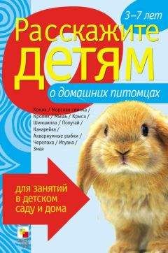 Элла Емельянова - Расскажите детям о домашних питомцах - Читать 📖 Читать онлайн 👀 Читаемые книги читать онлайн бесплатно 🔥 booksread-online.com