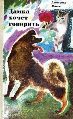 Александр Панов - Дамка хочет говорить - Читать 📖 Читать онлайн 👀 Читаемые книги читать онлайн бесплатно 🔥 booksread-online.com