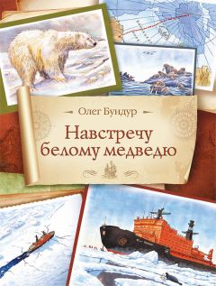 Олег Бундур - Навстречу белому медведю - Читать 📖 Читать онлайн 👀 Читаемые книги читать онлайн бесплатно 🔥 booksread-online.com