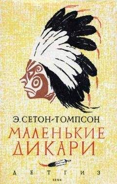 Эрнест Сетон-Томпсон - Маленькие дикари [Рисунки автора] - Читать 📖 Читать онлайн 👀 Читаемые книги читать онлайн бесплатно 🔥 booksread-online.com