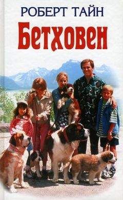 Роберт Тайн - Бетховен - Читать 📖 Читать онлайн 👀 Читаемые книги читать онлайн бесплатно 🔥 booksread-online.com