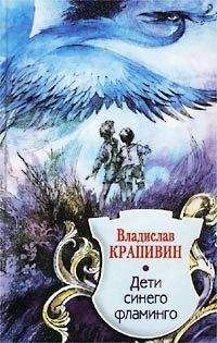 Владислав Крапивин - Дети синего фламинго - Читать 📖 Читать онлайн 👀 Читаемые книги читать онлайн бесплатно 🔥 booksread-online.com