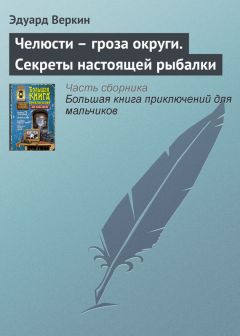 Эдуард Веркин - Челюсти – гроза округи. Секреты настоящей рыбалки - Читать 📖 Читать онлайн 👀 Читаемые книги читать онлайн бесплатно 🔥 booksread-online.com