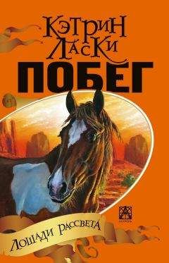 Кэтрин Ласки - Побег - Читать 📖 Читать онлайн 👀 Читаемые книги читать онлайн бесплатно 🔥 booksread-online.com