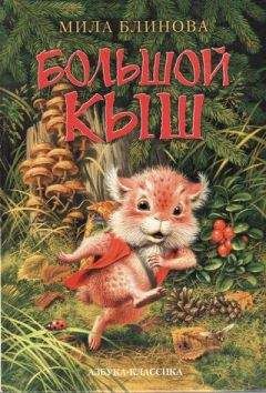 Мила Блинова - Большой Кыш - Читать 📖 Читать онлайн 👀 Читаемые книги читать онлайн бесплатно 🔥 booksread-online.com