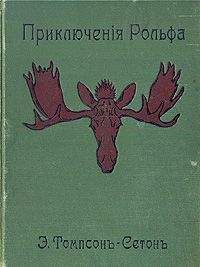 Эрнест Сетон-Томпсон - Приключения Рольфа - Читать 📖 Читать онлайн 👀 Читаемые книги читать онлайн бесплатно 🔥 booksread-online.com
