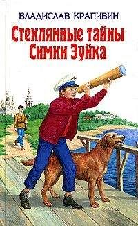 Владислав Крапивин - Стеклянные тайны Симки Зуйка - Читать 📖 Читать онлайн 👀 Читаемые книги читать онлайн бесплатно 🔥 booksread-online.com