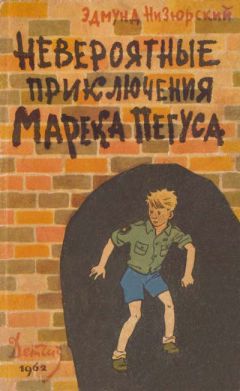 Эдмунд Низюрский - Невероятные приключения Марека Пегуса - Читать 📖 Читать онлайн 👀 Читаемые книги читать онлайн бесплатно 🔥 booksread-online.com