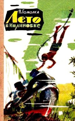 Николай Гомолка - Лето в Калиновке - Читать 📖 Читать онлайн 👀 Читаемые книги читать онлайн бесплатно 🔥 booksread-online.com