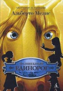 Альберто Мелис - Волшебный единорог - Читать 📖 Читать онлайн 👀 Читаемые книги читать онлайн бесплатно 🔥 booksread-online.com