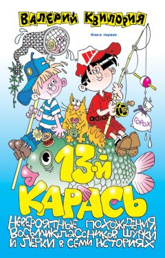 Валерий Квилория - 13-й карась - Читать 📖 Читать онлайн 👀 Читаемые книги читать онлайн бесплатно 🔥 booksread-online.com