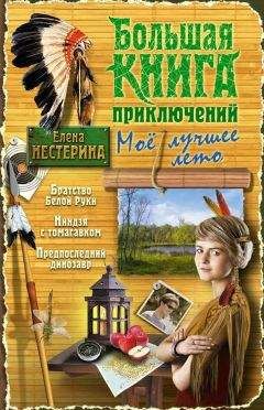 Елена Нестерина - Большая книга приключений. Мое лучшее лето (сборник) - Читать 📖 Читать онлайн 👀 Читаемые книги читать онлайн бесплатно 🔥 booksread-online.com