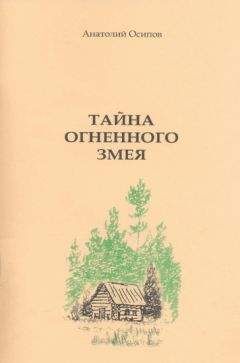 Анатолий Осипов - Тайна огненного змея - Читать 📖 Читать онлайн 👀 Читаемые книги читать онлайн бесплатно 🔥 booksread-online.com