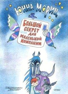 Юнна Мориц - Большой секрет для маленькой компании - Читать 📖 Читать онлайн 👀 Читаемые книги читать онлайн бесплатно 🔥 booksread-online.com