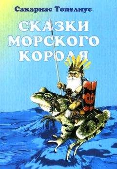 Сакариас Топелиус - Бурливый Ручей и Шумливый Ручей - Читать 📖 Читать онлайн 👀 Читаемые книги читать онлайн бесплатно 🔥 booksread-online.com