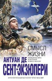 Антуан де Сент-Экзюпери - Смысл жизни - Читать 📖 Читать онлайн 👀 Читаемые книги читать онлайн бесплатно 🔥 booksread-online.com