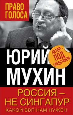 Юрий Мухин - Россия — не Сингапур. Какой ВВП нам нужен - Читать 📖 Читать онлайн 👀 Читаемые книги читать онлайн бесплатно 🔥 booksread-online.com