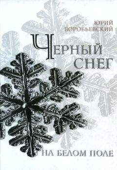 Юрий Воробьевский - Черный снег на белом поле - Читать 📖 Читать онлайн 👀 Читаемые книги читать онлайн бесплатно 🔥 booksread-online.com