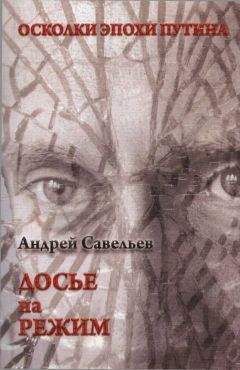 Андрей Савельев - Осколки эпохи Путина. Досье на режим - Читать | Читать онлайн | Читаемые книги читать онлайн бесплатно | booksread-online.com