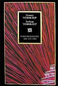 Элвин Тоффлер - РЕВОЛЮЦИОННОЕ БОГАТСТВО - Читать | Читать онлайн | Читаемые книги читать онлайн бесплатно | booksread-online.com