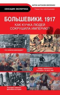 Антон Антонов-Овсеенко - Большевики, 1917 - Читать 📖 Читать онлайн 👀 Читаемые книги читать онлайн бесплатно 🔥 booksread-online.com