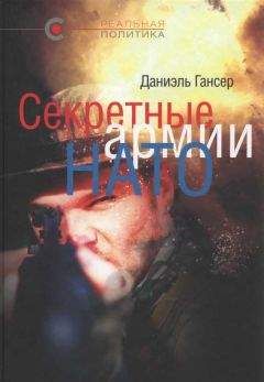 Даниэль Гансер - Секретные армии НАТО: Операция «Гладио» и терроризм в Западной Европе - Читать 📖 Читать онлайн 👀 Читаемые книги читать онлайн бесплатно 🔥 booksread-online.com